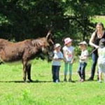 donkey farm tour