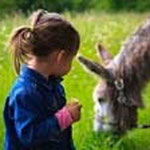 family holidays in limousin