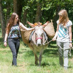 une balade avec un âne