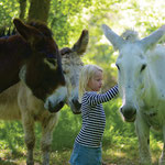 donkey-trekking