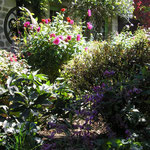 le jardin devant le gite