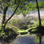 la rivière tout près du gite