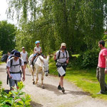 des balades avec les ânes