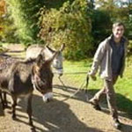 donkey ride