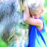 with the donkeys