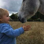 activities with children in limousin