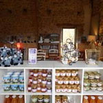 farm holidays auvergne