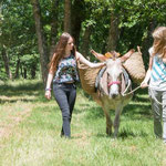 ride with a donkey