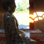 yurt on the farm