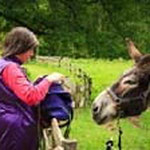 lake vassiviere family