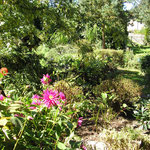 the cottage on the farm: the garden