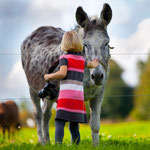 activities with donkeys during your yurt vacation