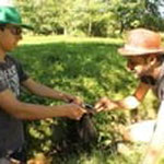 vassivière family entertainment