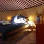 offer night in yurt