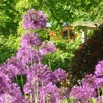 vassiviere vacation rentals