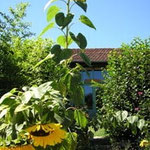 countryside nature vacation