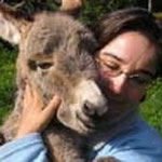 holiday with a donkey