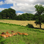 vacances en limousin