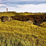 Dünen auf Norderney