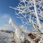 Hoarfrost, Upper Austria.