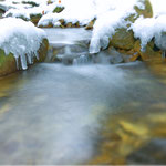 Nr Dambach, Kalkalpen, Austria