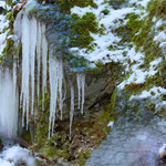 Late Winter Ice, near Dambach, Steyr