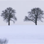Nr Dambach, Kalkalpen, Austria