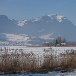 entlang dem Lauerzersee, mit der Rigi