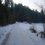 Waldstrasse, noch schneebedeckt und eisig