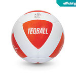 Official game ball "TEQ ball™ 