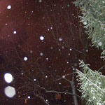10. Voller Begeisterung fotografiere ich die Schneewesen und rufe Erzengel Michael an, um sich zu zeigen. Die "Orbs" sind sofort sichtbar.