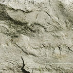Männliches Profil, im Sandstein eingeritzt, schaut nach links.