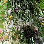 Bouquet of beautiful grasses.  Strauss aus wunderschönen Gräsern.