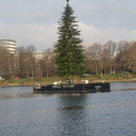 Tannenbaum auf der Alster