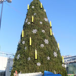 eihnachtsbaum ird aufgebaut