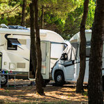Camp Tropicana