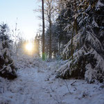 Verschneiter Waldweg in Hofnähe