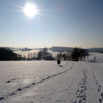 Ausritt in winterlicher Landschaft