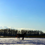 Spaziergang im Winter