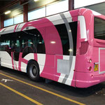 Pose Envibus Antibes pour Graphibus