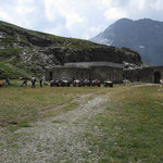 Quad Tour Westalpen