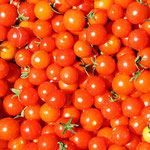 Tomates cerises