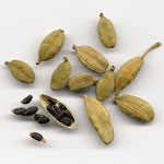 Cardamome