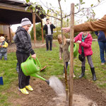 Noch ein Gießer Wasser, damit der Baum gut anwächst