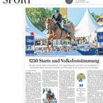Springreiten, Nesselröden