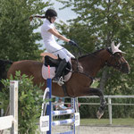 Springturnier Holtensen Kl.M*