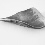 apfelbaumrinde | bark of the appletree, bowlshaped