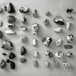 fundort # kleine bucht ( 2019 )