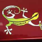 Sticker Margouillat sur une voiture La Réunion 