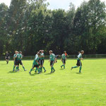 Spiel 28.05.2011: SC Markt Heiligenstadt - FC Sportfreunde Bamberg